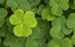 lucky