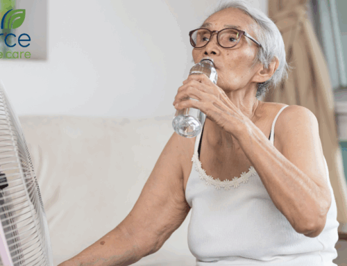 Summer Heat Safety for Caregivers: Essential Tips to Keep Seniors Safe